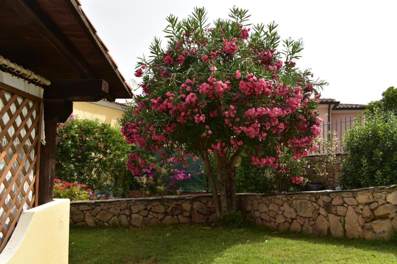 Splendida Villetta Tavolara 1 Vaccileddi Exterior photo